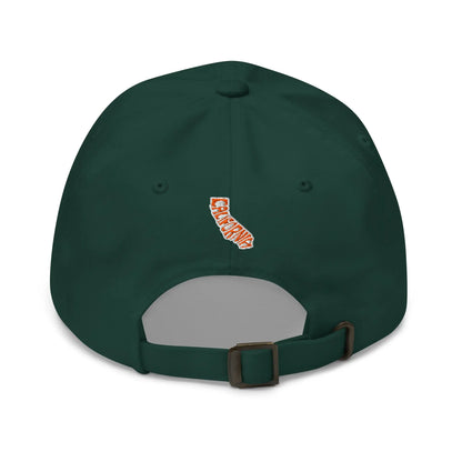 Curved Visor Dad Hat