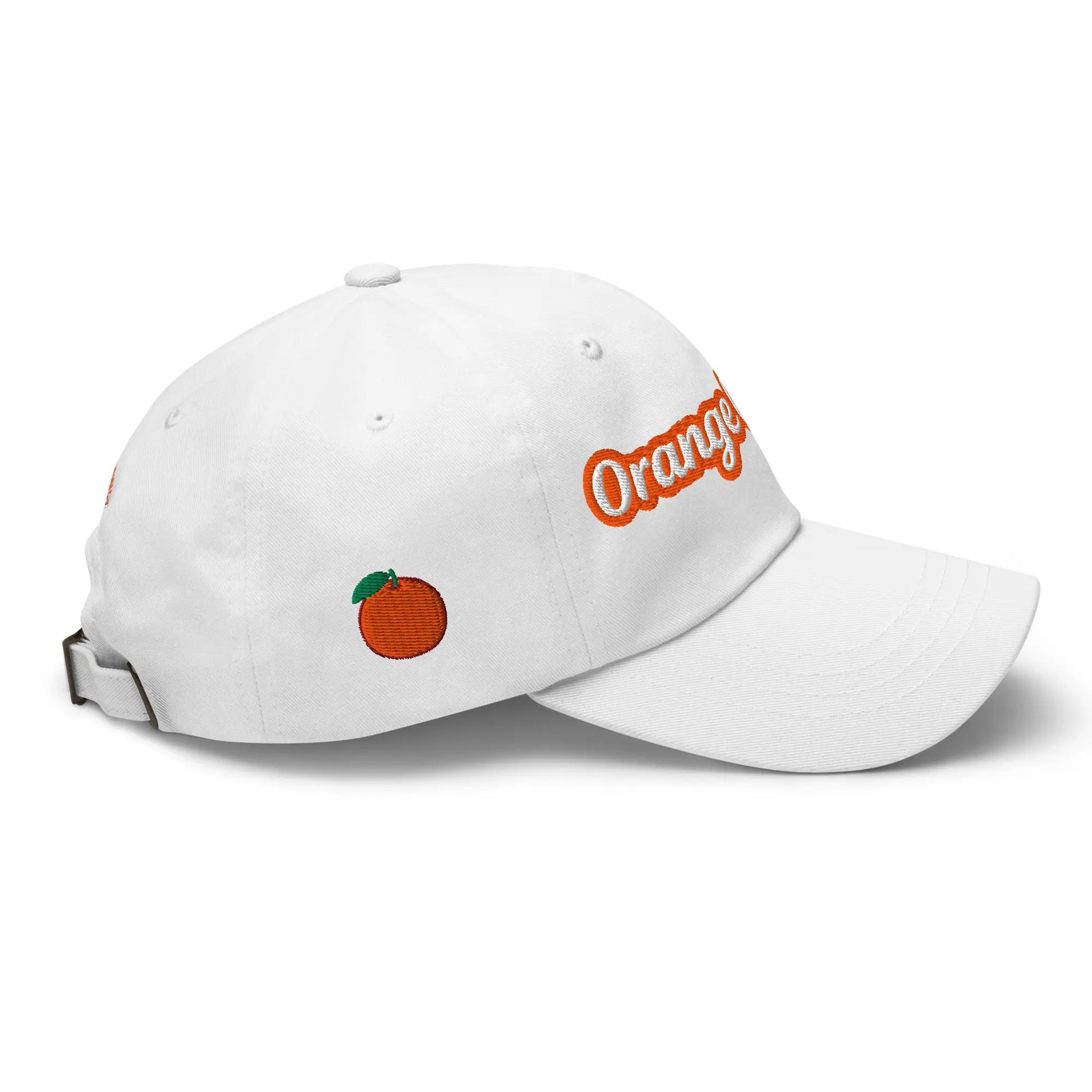 Curved Visor Dad Hat